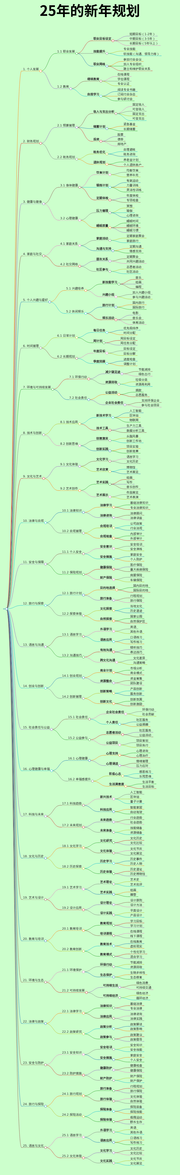 25年的新年规划